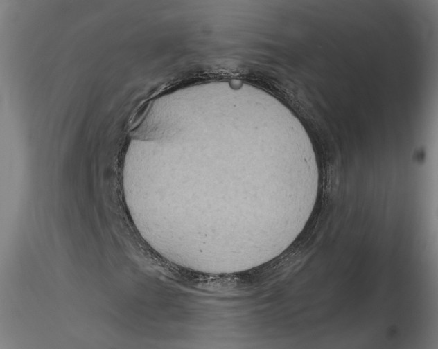 X0000115551201200911271425