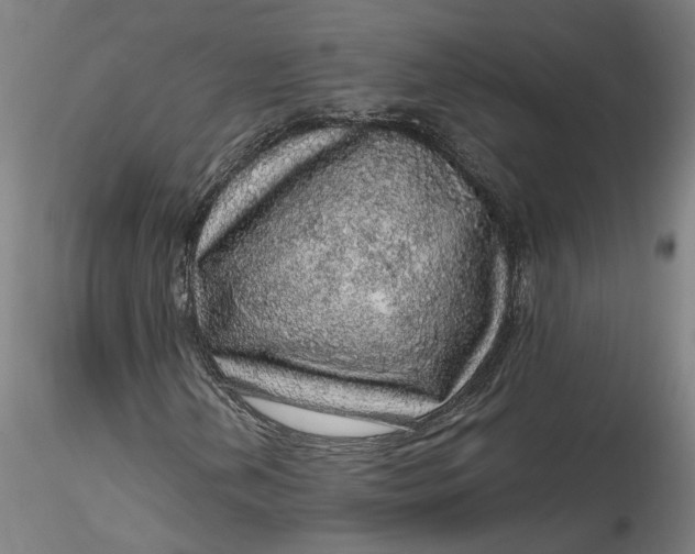 X0000115551202200911271425