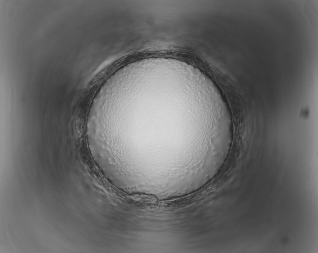 X0000115551206200911271426