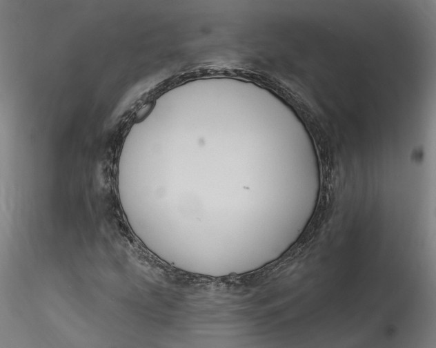 X0000115551207200911271426