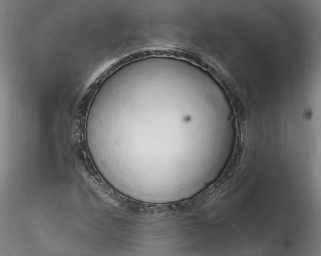 X0000115551208200911271426