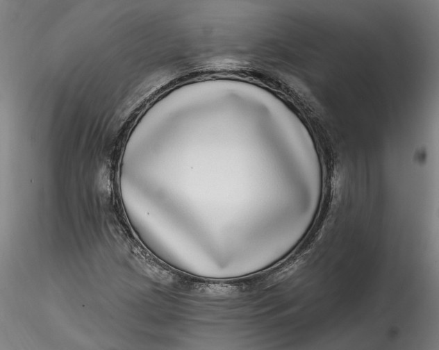 X0000115551209200911271426