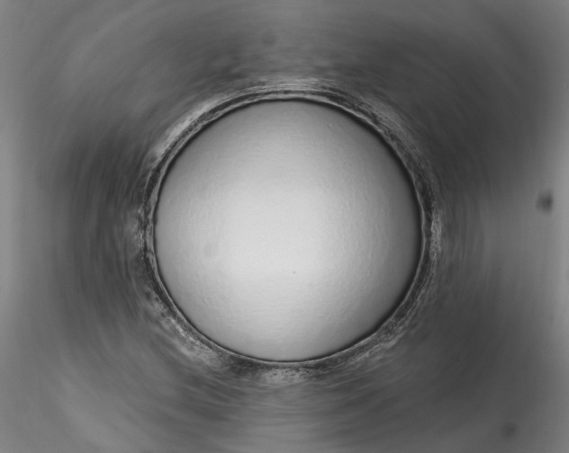 X0000115551212200911271426