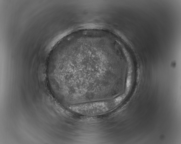 X0000115551213200911271426