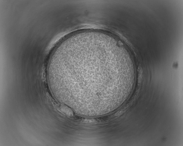 X0000115551215200911271426