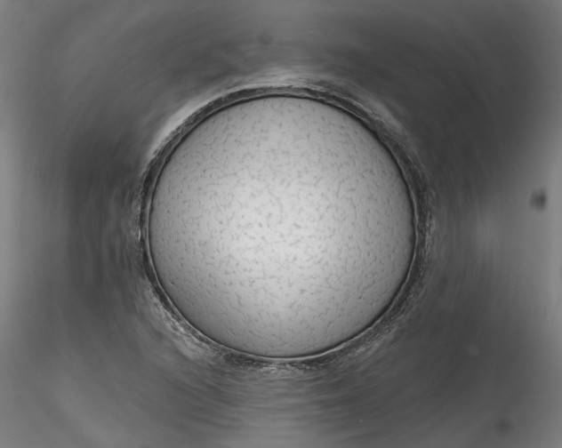 X0000115551216200911271426