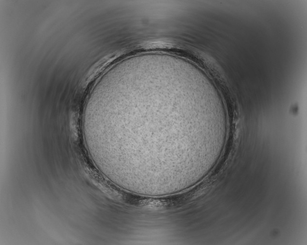 X0000115551217200911271426