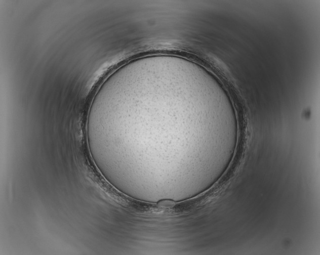 X0000115551218200911271426