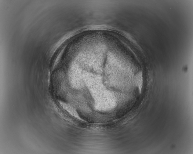 X0000115551221200911271426