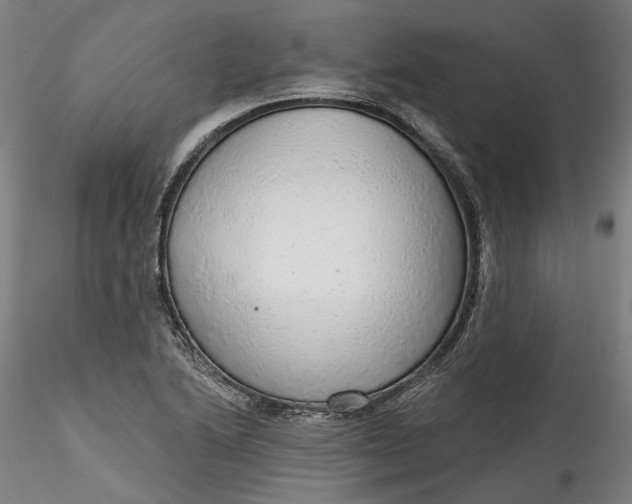 X0000115551222200911271426