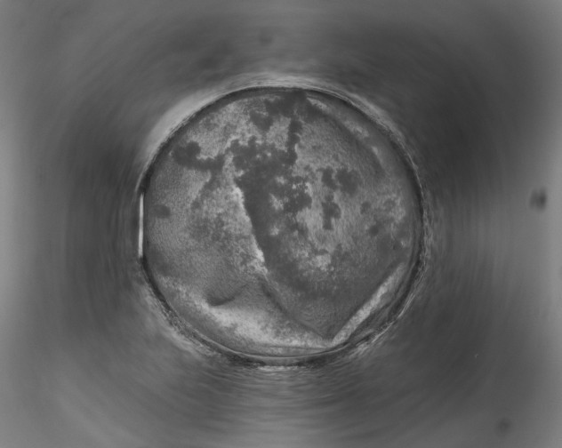 X0000115551223200911271426