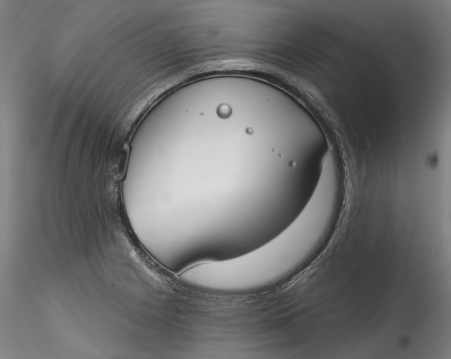 X0000115551225200911271426