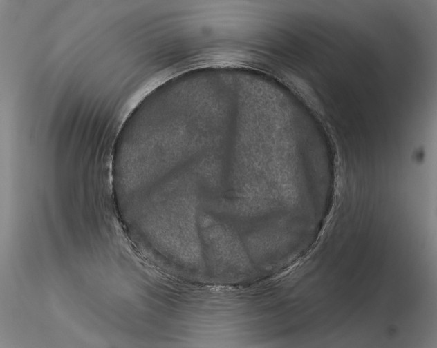 X0000115551226200911271426