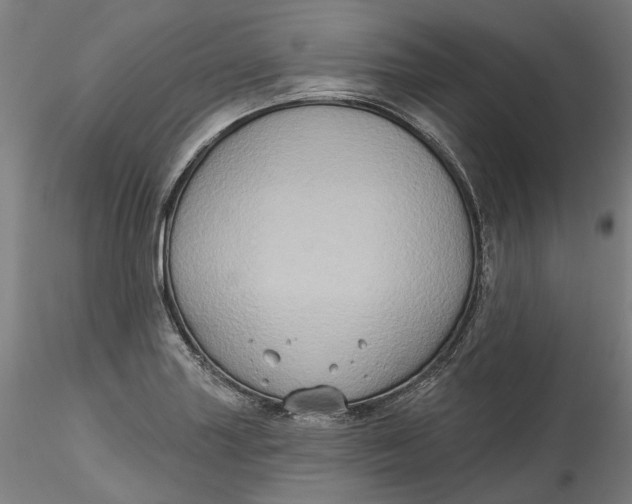 X0000115551227200911271426