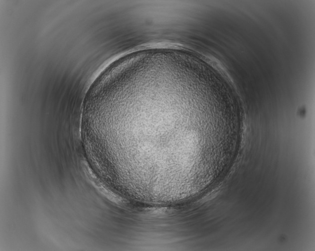 X0000115551228200911271426