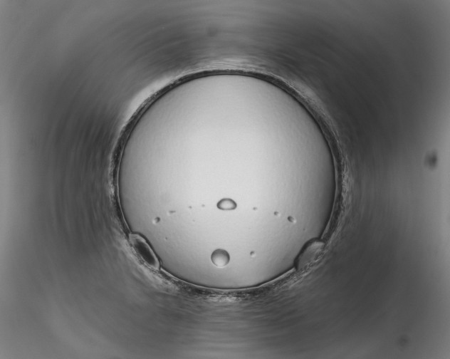 X0000115551230200911271426