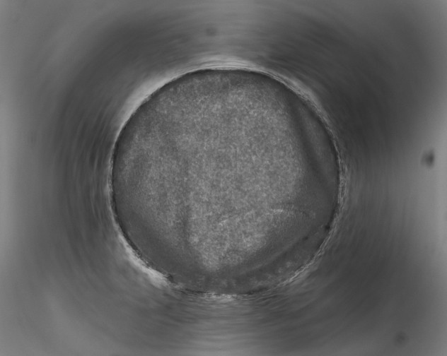 X0000115551231200911271426