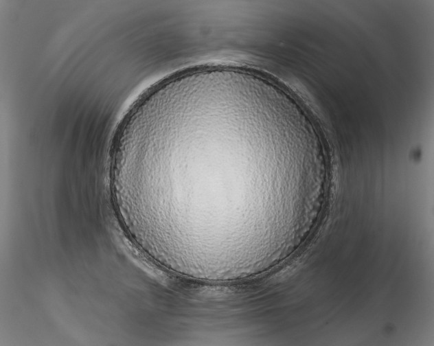 X0000115551232200911271426