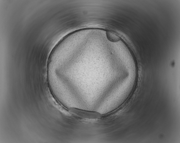 X0000115551236200911271426