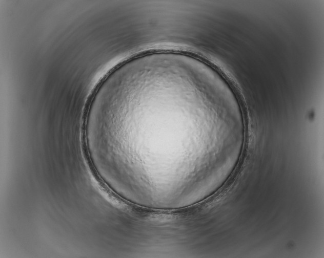 X0000115551237200911271426