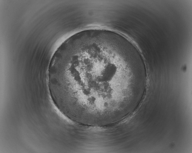 X0000115551239200911271426