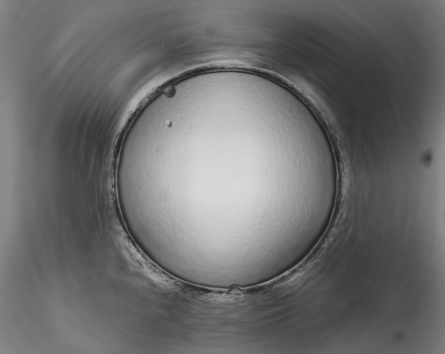 X0000115551240200911271426