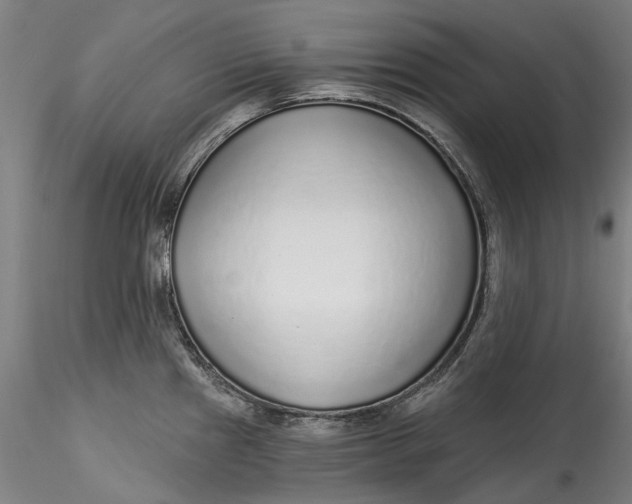 X0000115551241200911271426