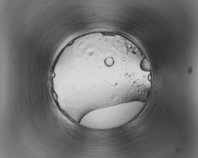 X0000115551243200911271426