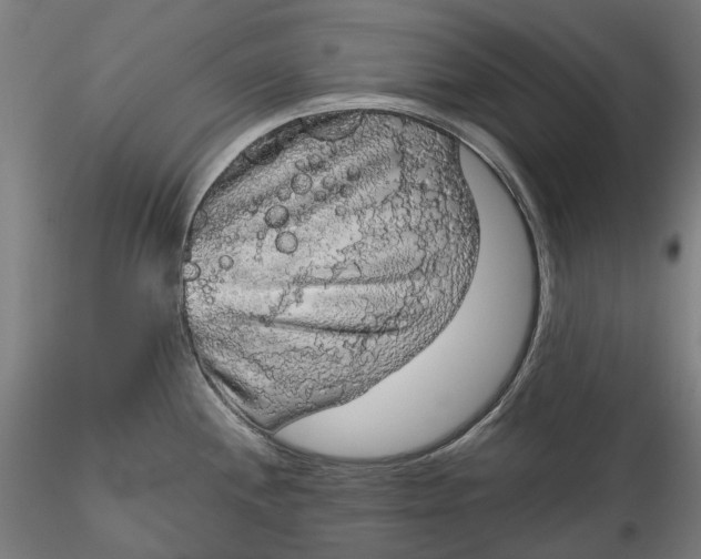 X0000115551244200911271426