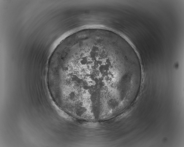 X0000115551245200911271426