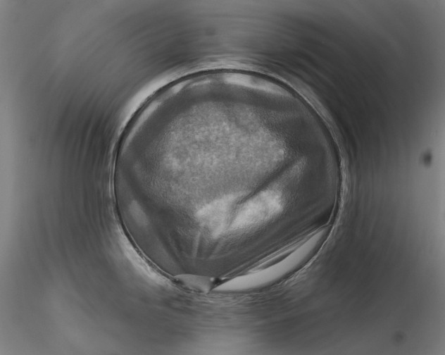 X0000115551246200911271426