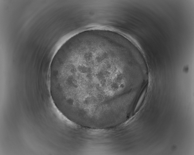 X0000115551247200911271426