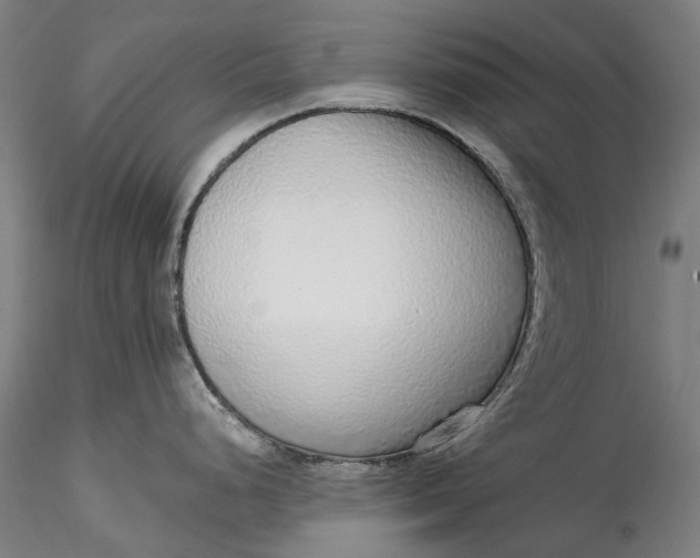 X0000115551248200911271426