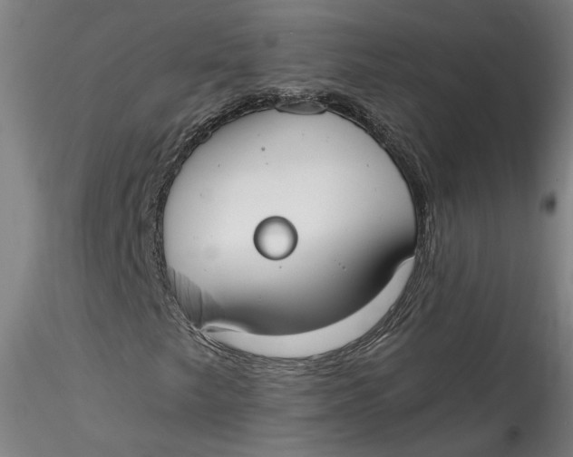 X0000115551249200911271425