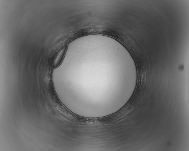 X0000115551250200911271425