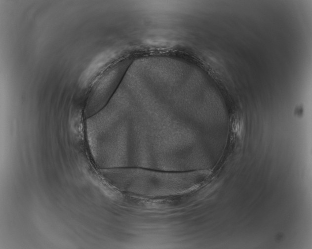 X0000115551252200911271425