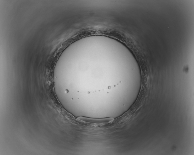 X0000115551253200911271425