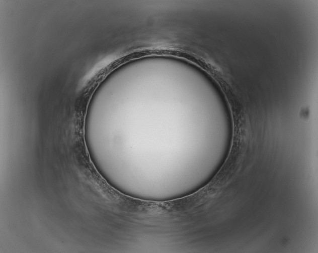 X0000115551255200911271425