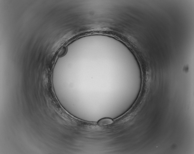 X0000115551257200911271425