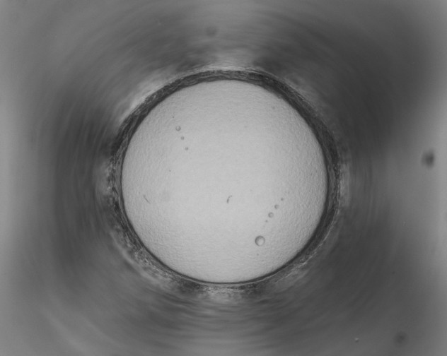 X0000115551258200911271425