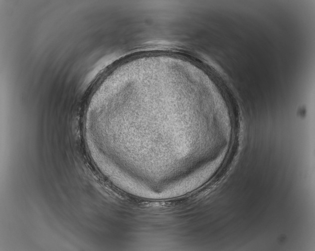 X0000115551259200911271425