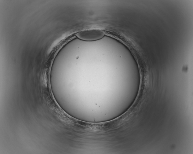 X0000115551262200911271425