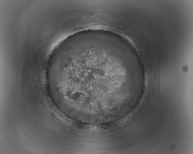 X0000115551263200911271425