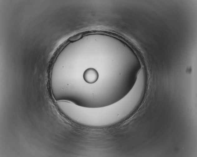 X0000115551264200911271425