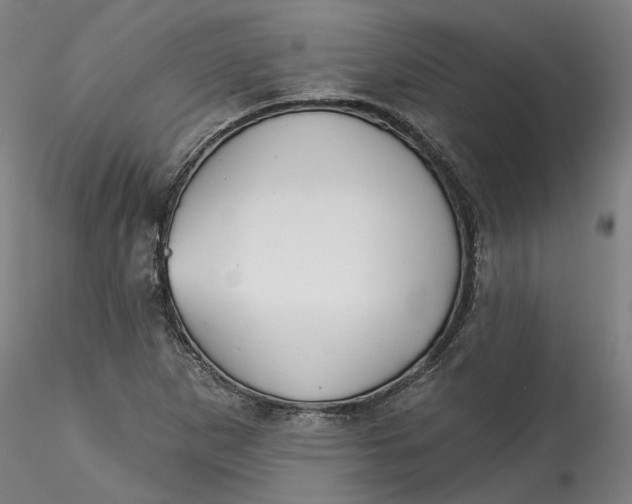 X0000115551265200911271425