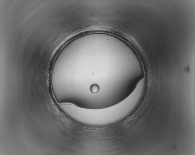 X0000115551268200911271425