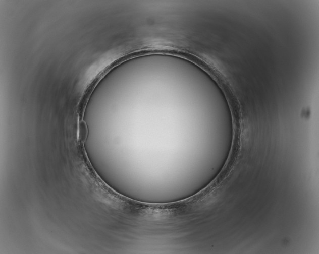 X0000115551269200911271425