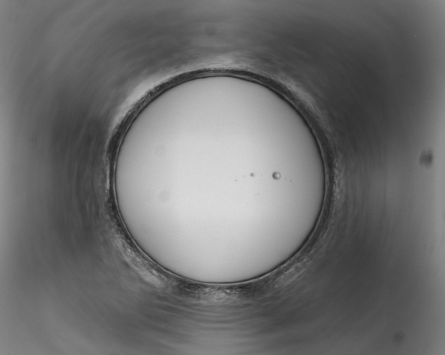 X0000115551270200911271425