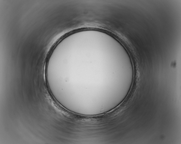 X0000115551272200911271425