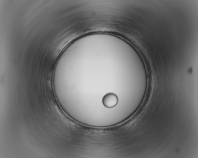 X0000115551273200911271425